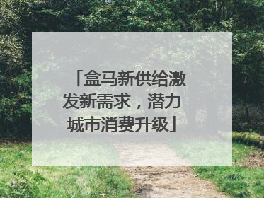 盒马新供给激发新需求，潜力城市消费升级